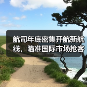 多家航司密集开航国际航线，元旦出游如何选择？(图2)