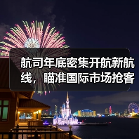 多家航司密集开航国际航线，元旦出游如何选择？(图4)