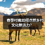 春季村晚如何点燃乡村文化新活力?(图4) 春季村晚如何点燃乡村文化新活力?(图4)