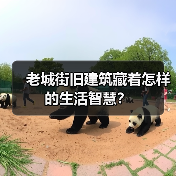 北京老街四合院如何传承文化价值？(图4)