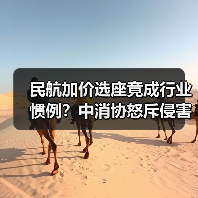 民航加价选座竟成行业惯例?中消协怒斥侵害消费者权益(图4) 民航选座收费合理吗?中消协发声捍卫消费者权益(图4)