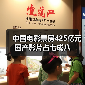 2024年中国电影票房425亿 国产影片占比超七成！哪些作品成黑马？(图3)