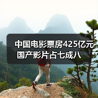 2024年中国电影票房425亿 国产影片占比超七成！哪些作品成黑马？(图4)
