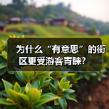 为什么“有意思”的街区更受游客青睐?(图2) 旅游休闲街区如何成为城市新名片?(图2)