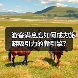 游客满意度如何成为旅游吸引力的新引擎?(图2) 游客满意度如何成为旅游吸引力的新引擎?(图2)