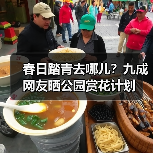 春日踏青去哪儿?九成网友晒公园赏花计划(图3) 春日踏青去哪儿?九成网友晒公园赏花计划(图3)