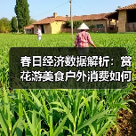 春日经济数据解析:赏花游美食户外消费如何激活市场增长?(图3) 春日经济数据解析:赏花游美食户外消费如何激活市场增长?(图3)