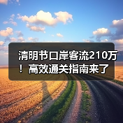 清明节口岸客流210万！高效通关指南来了(图2)