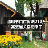 清明节口岸客流210万！高效通关指南来了(图4)