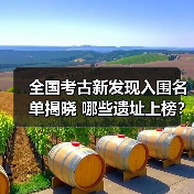 全国考古新发现入围名单揭晓 哪些遗址上榜?(图3) 2024年度全国十大考古新发现初评结果揭晓(图3)