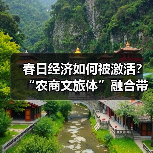 春日赏花旅游火爆，桃花油菜花成乡村经济新引擎 - 耀途希冀旅游网