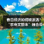 春日经济如何被激活?“农商文旅体”融合带动多样消费场景(图4) 春日赏花旅游火爆,桃花油菜花成乡村经济新引擎(图4)