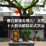 春日赏樱去哪儿?全国十大胜地解锁花式玩法(图4) 春日赏樱去哪儿?全国十大胜地解锁花式玩法(图4)