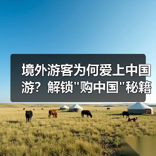 境外游客为何爱上中国游？解锁