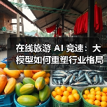 在线旅游 AI 竞速:大模型如何重塑行业格局?(图2) 在线旅游 AI 竞速:大模型如何重塑行业格局?(图2)