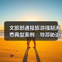 文旅部通报旅游强制消费典型案例:导游胁迫购物遭严惩(图4) 文旅部通报旅游强制消费典型案例:导游胁迫购物遭严惩(图4)