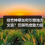 综艺种草如何引爆地方文旅？荧屏热度助力旅游新路径 - 耀途希冀旅游网
