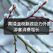 离境退税新政助力外国游客消费增长(图3) 离境退税新政助力外国游客消费增长(图3)