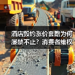 酒店毁约涨价套路为何屡禁不止?消费者维权难在哪?(图3) 酒店毁约涨价套路为何屡禁不止?消费者维权难在哪?(图3)