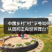 中国乡村 中国乡村村字号如何从田间走向世界舞台?点燃文化自信的秘密(图2)