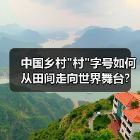 中国乡村 中国乡村村字号如何从田间走向世界舞台?点燃文化自信的秘密(图4)