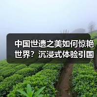 中国世遗之美如何惊艳世界?沉浸式体验引国际关注(图4) 中国世遗之美如何惊艳世界?沉浸式体验引国际关注(图4)