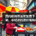 国内航线燃油附加费下调,中短途机票价格将如何变化?(图4) 国内航线燃油附加费下调,中短途机票价格将如何变化?(图4)