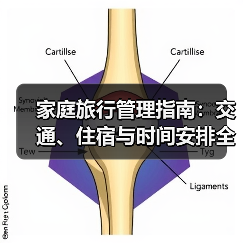 家庭旅行管理指南:交通、住宿与时间安排全攻略(图1) 家庭旅行管理指南:交通、住宿与时间安排全攻略(图1)