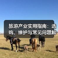 旅游产业实用指南:选购、维护与常见问题解析2026(图2) 旅游产业实用指南:选购、维护与常见问题解析2026(图2)